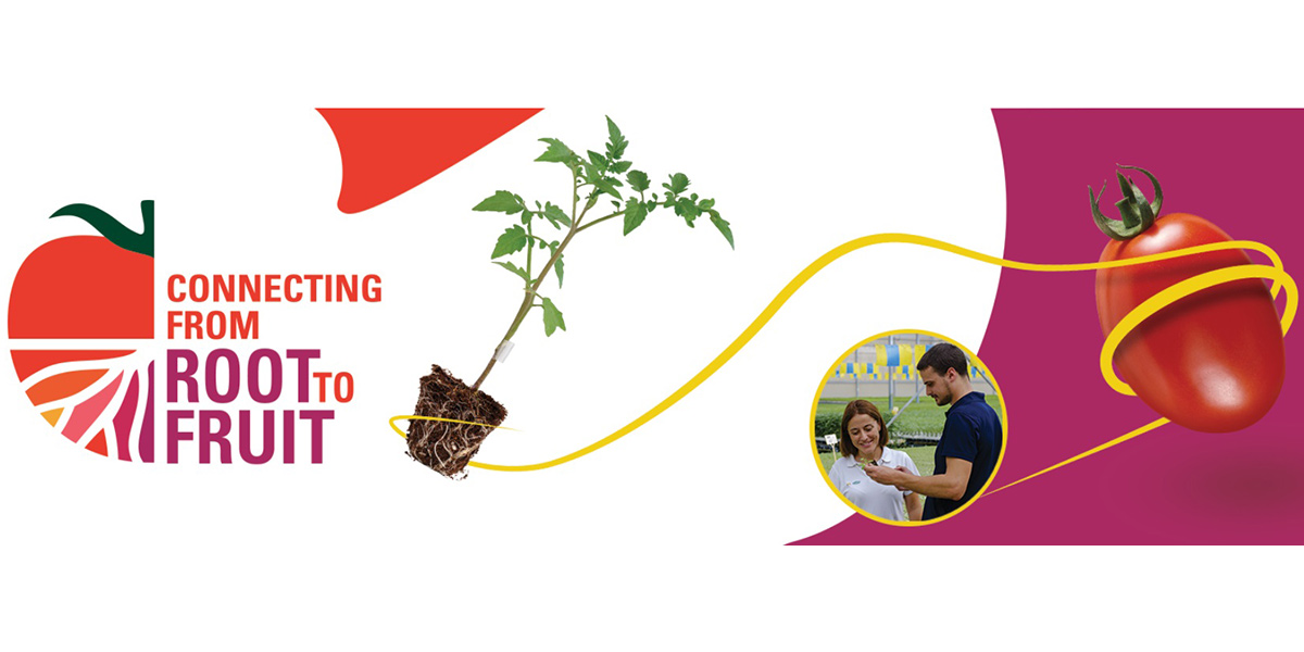 Nuovo logo per "Connecting from Root to Fruit" di Vilmorin-Mikado